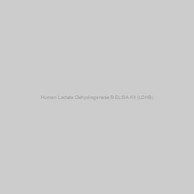 Human Lactate Dehydrogenase B ELISA Kit (LDHB)